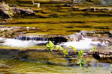 国产春色在线,探寻中国电影中的青春与色彩